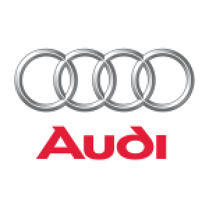 AudiAudi(Avto-Gumm)