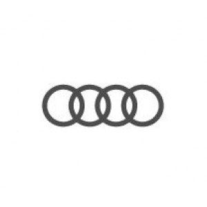 Audi(Avto-Gumm)