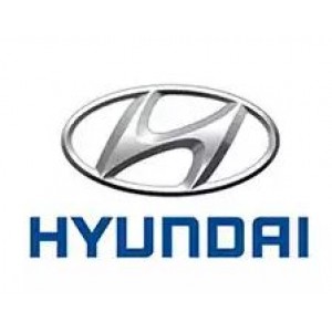 Защита картера для Hyundai