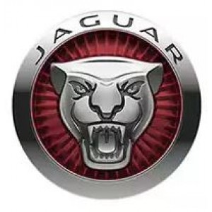 Защита картера для Jaguar