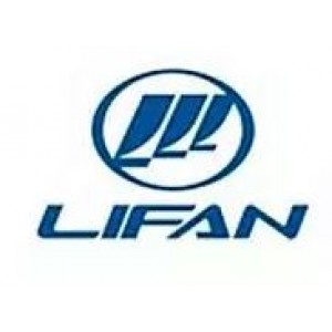 Защита картера для Lifan