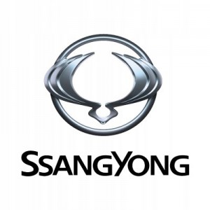 Защита картера для Ssang Yong