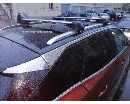 Багажник на крышу авто с интегрированными рейлингами Mont Blanc Xplore