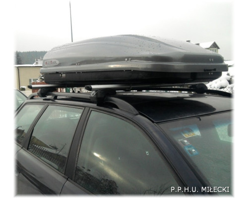 Автомобильный бокс Junior Pre 430 glossy grey