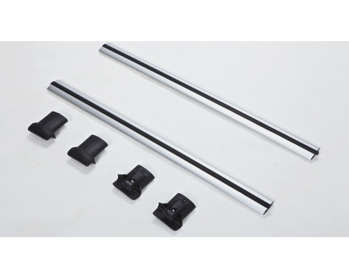 Багажник Diamond на крышу Ford Connect I 2003-2013 Серебристый