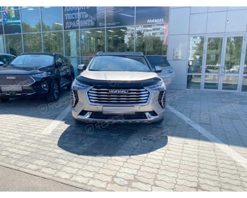 Deflector capota Haval Jolion 5d 2021