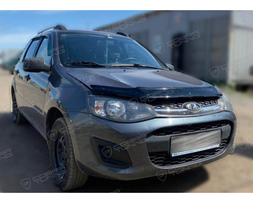 Deflector hota Kalina II 2013 - 2018